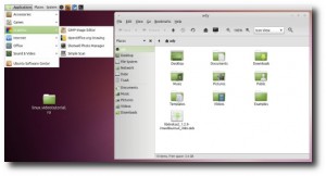 Cum instalam tema din Linux Mint 10 Julia in Ubuntu (Maverick si Lucid)